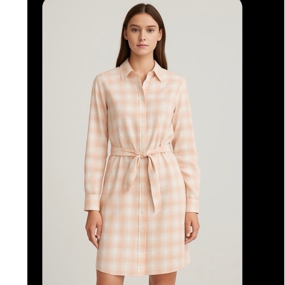 Calvin Klein Plaid Front Tie Button Down Shirt‎ Dress Sz 4 Academia Old Money